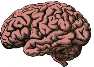 Mental Health - Image of Brain